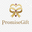 Promise Gift logo
