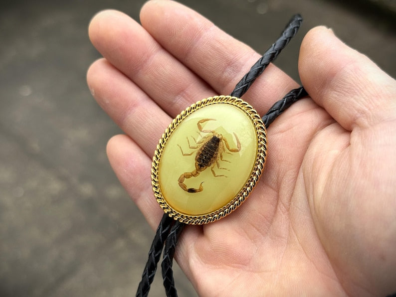 Real Scorpion Western Bolo Tie Glow in the Dark Insect Bolo Tie Gift for Him Personalized Cowboy Accessory Western Valentines Day Gift
