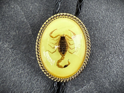 Real Scorpion Western Bolo Tie Glow in the Dark Insect Bolo Tie Gift for Him Personalized Cowboy Accessory Western Valentines Day Gift