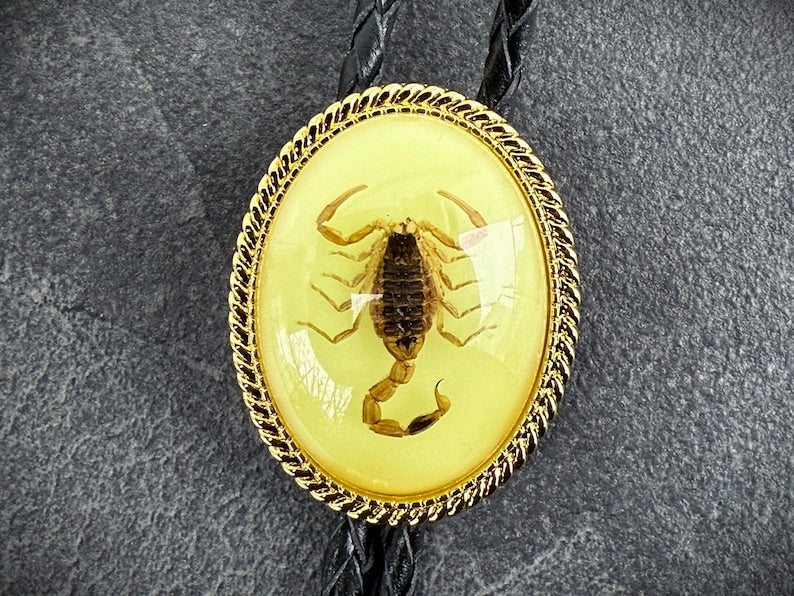 Real Scorpion Western Bolo Tie Glow in the Dark Insect Bolo Tie Gift for Him Personalized Cowboy Accessory Western Valentines Day Gift