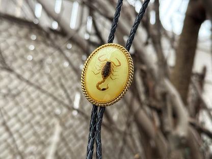 Real Scorpion Western Bolo Tie Glow in the Dark Insect Bolo Tie Gift for Him Personalized Cowboy Accessory Western Valentines Day Gift