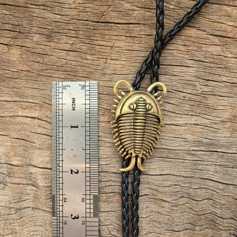 Trilobite Beetle Bolo Tie for Men Women - Brass Insect Bug Native Necktie Fashion Accessories